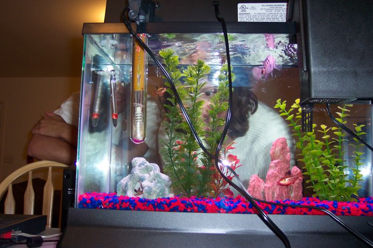 Copy of 100_0187.jpg